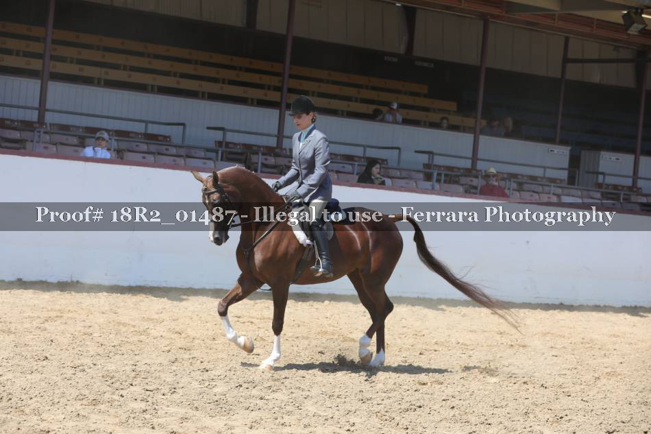 Proof 18R2_01487
