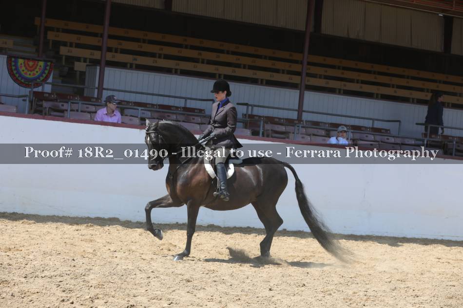 Proof 18R2_01490