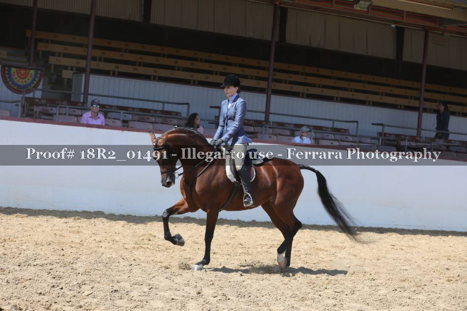 Proof 18R2_01491