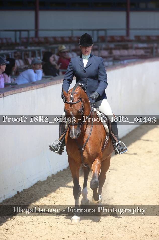 Proof 18R2_01493