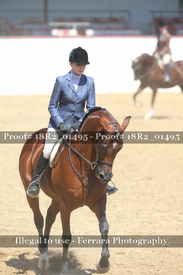 Proof 18R2_01495