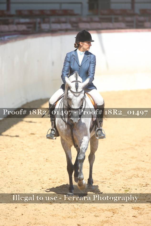 Proof 18R2_01497