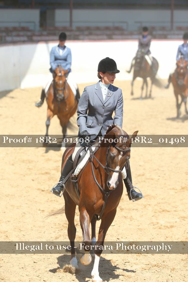 Proof 18R2_01498