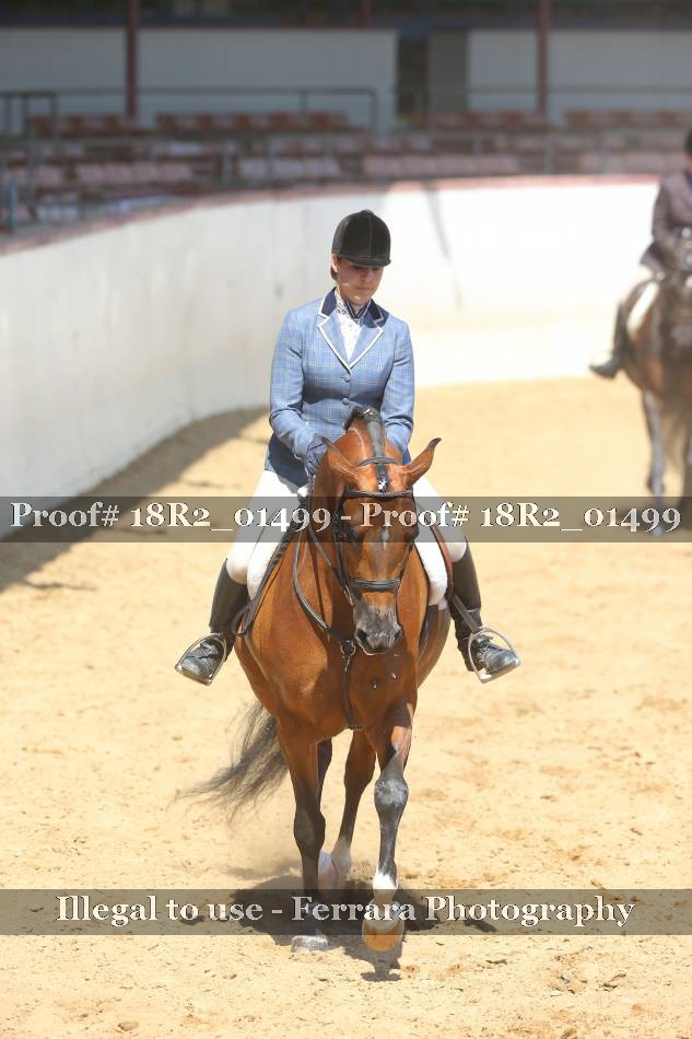 Proof 18R2_01499