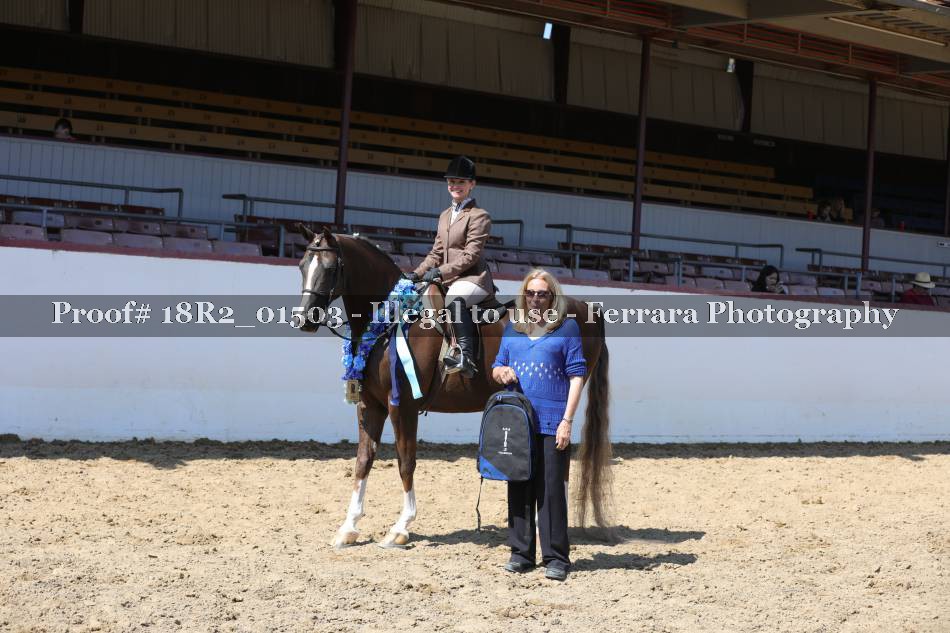 Proof 18R2_01503