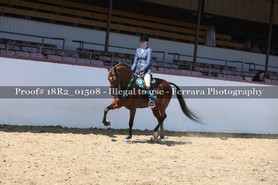 Proof 18R2_01508