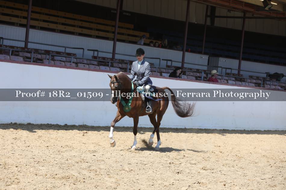 Proof 18R2_01509