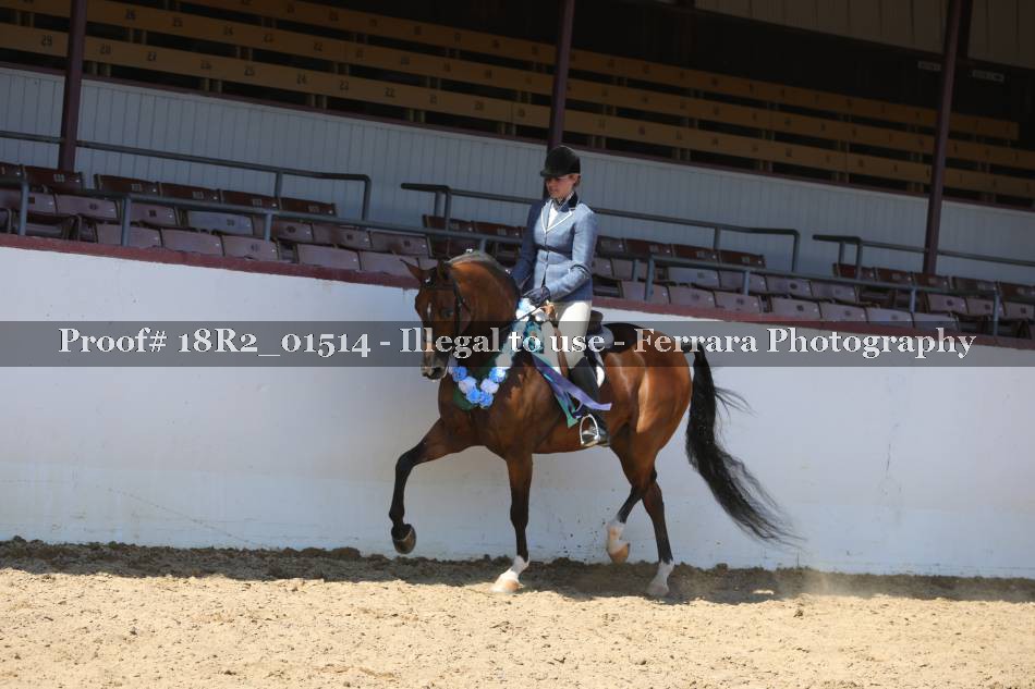 Proof 18R2_01514