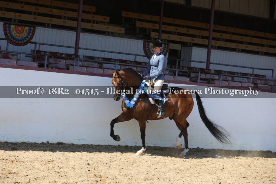 Proof 18R2_01515