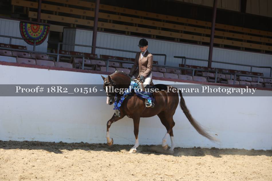 Proof 18R2_01516