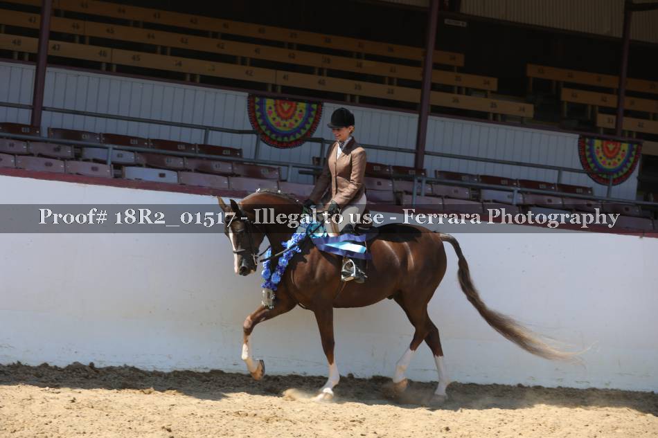 Proof 18R2_01517