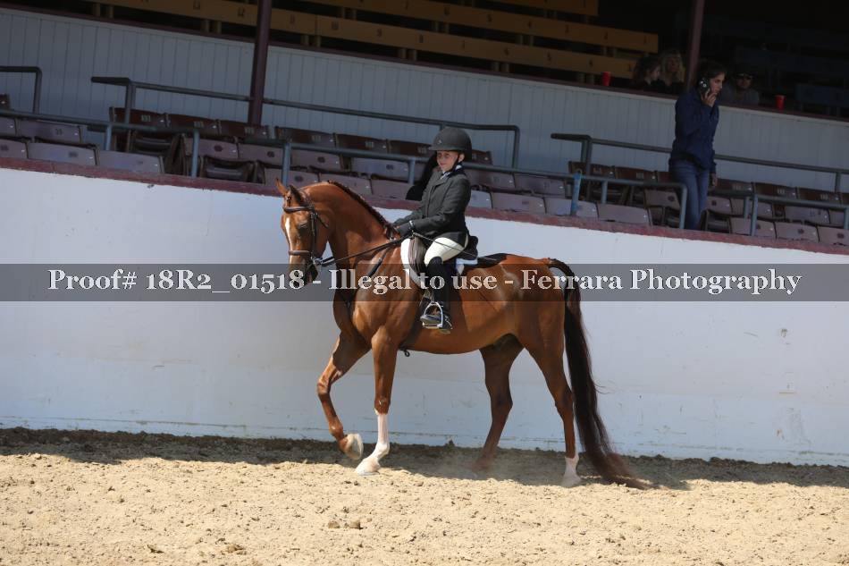Proof 18R2_01518