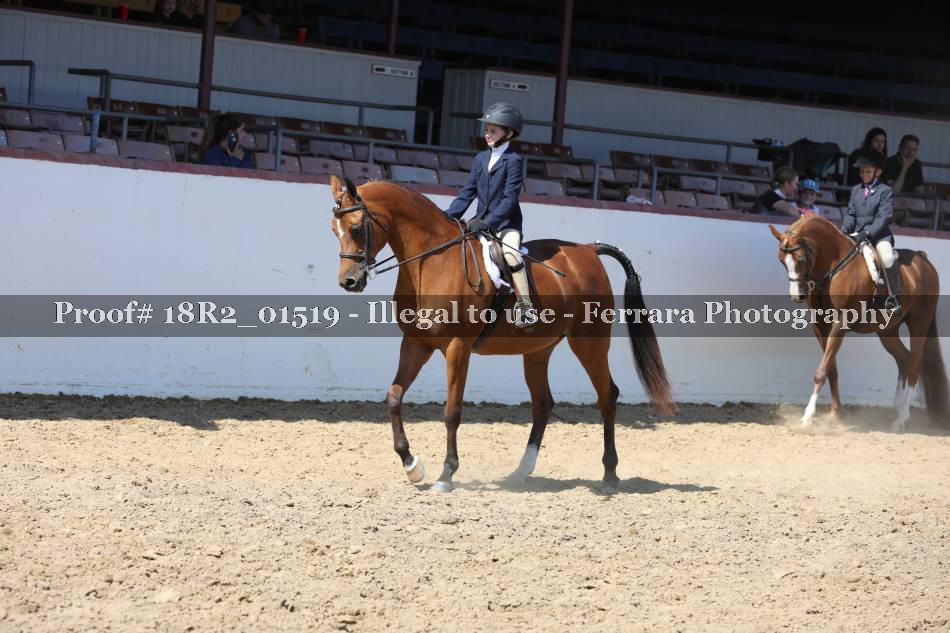 Proof 18R2_01519
