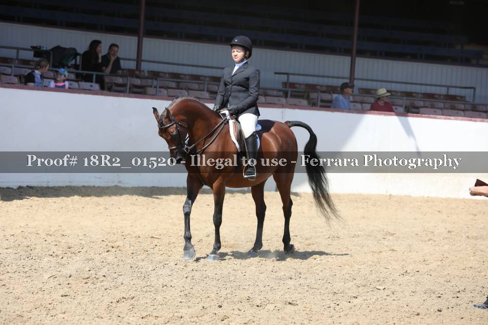 Proof 18R2_01520