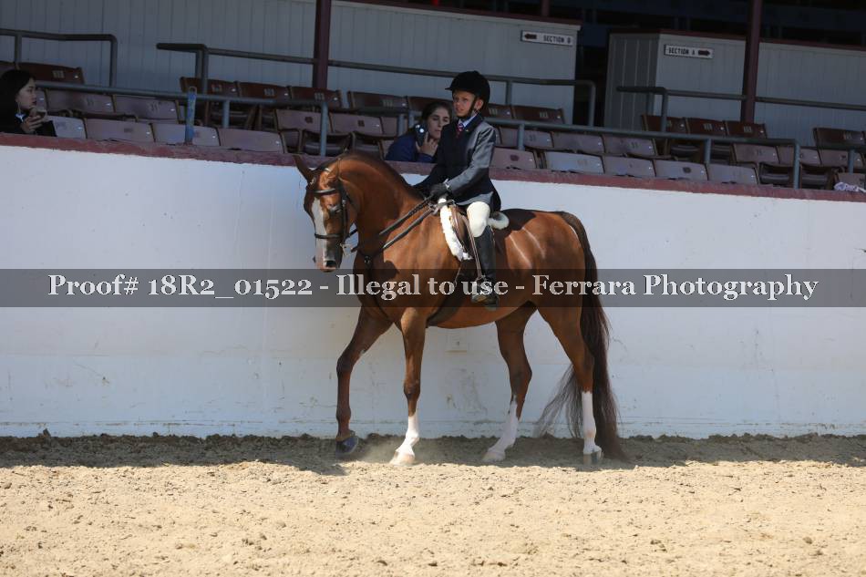 Proof 18R2_01522
