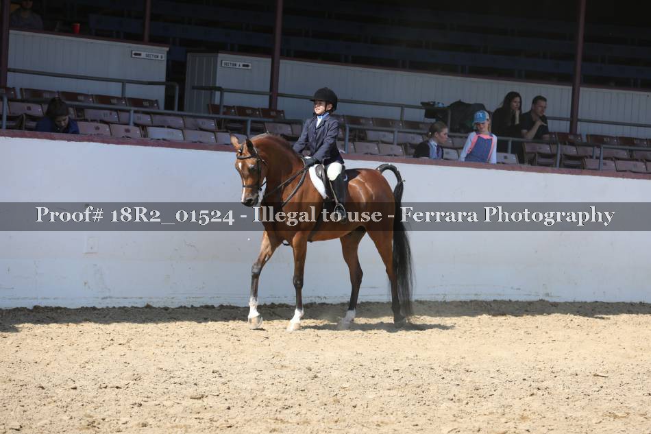 Proof 18R2_01524