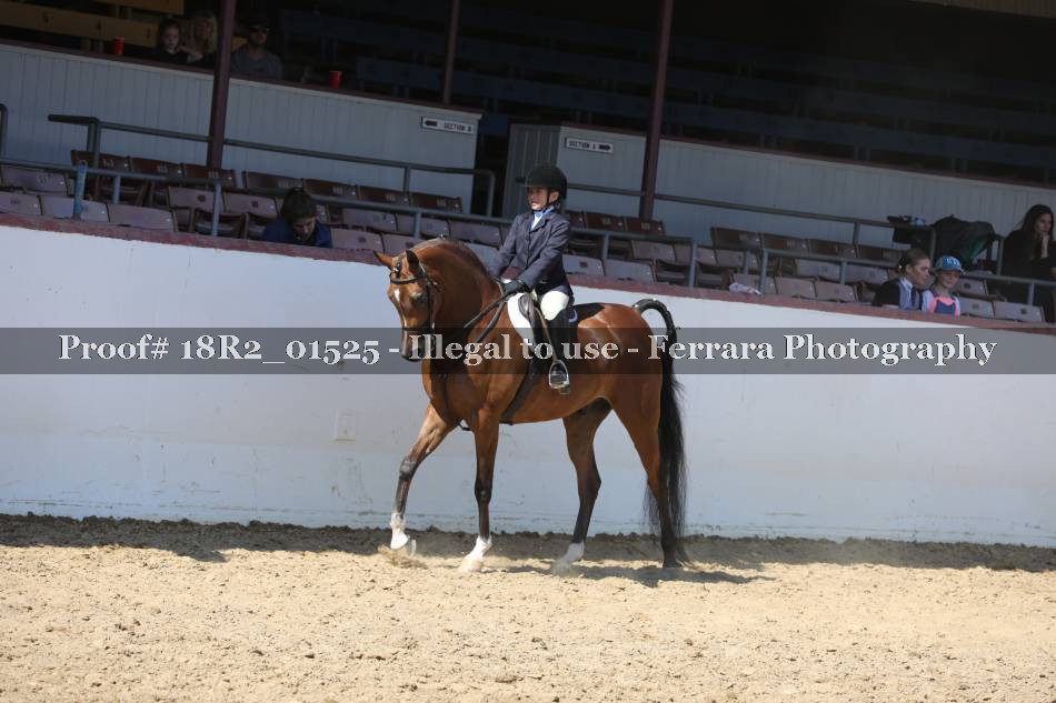 Proof 18R2_01525