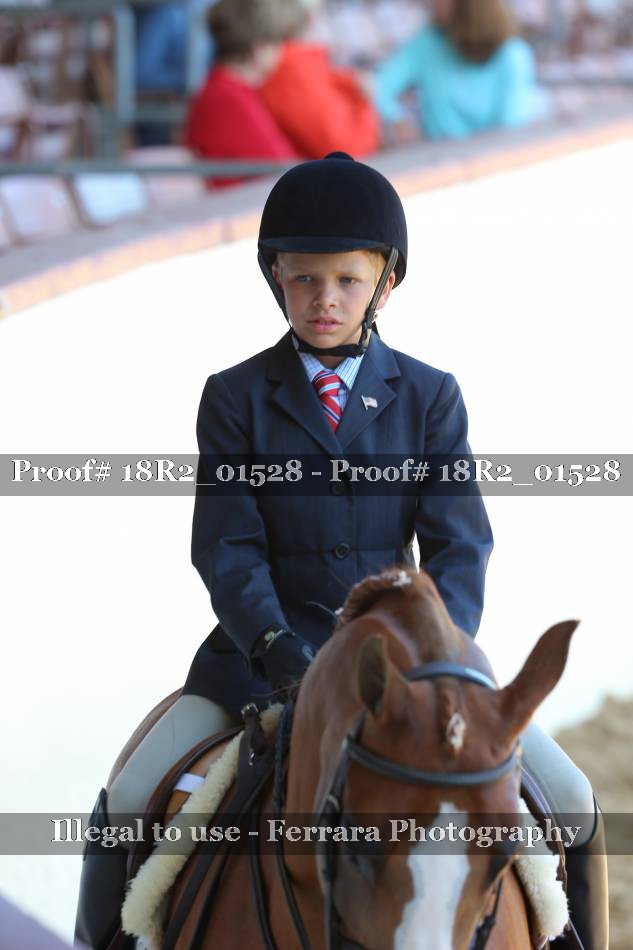 Proof 18R2_01528