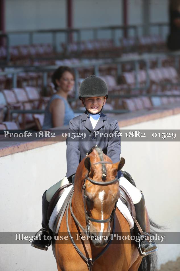 Proof 18R2_01529