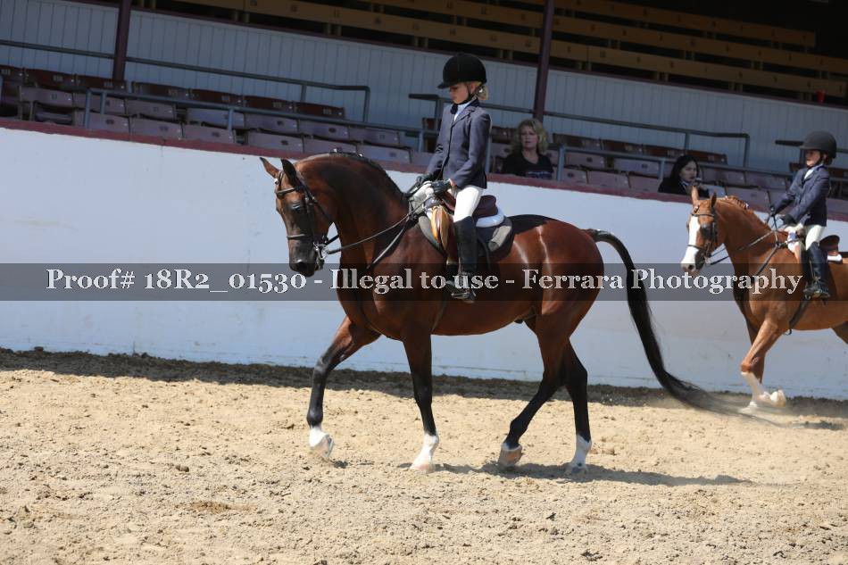 Proof 18R2_01530