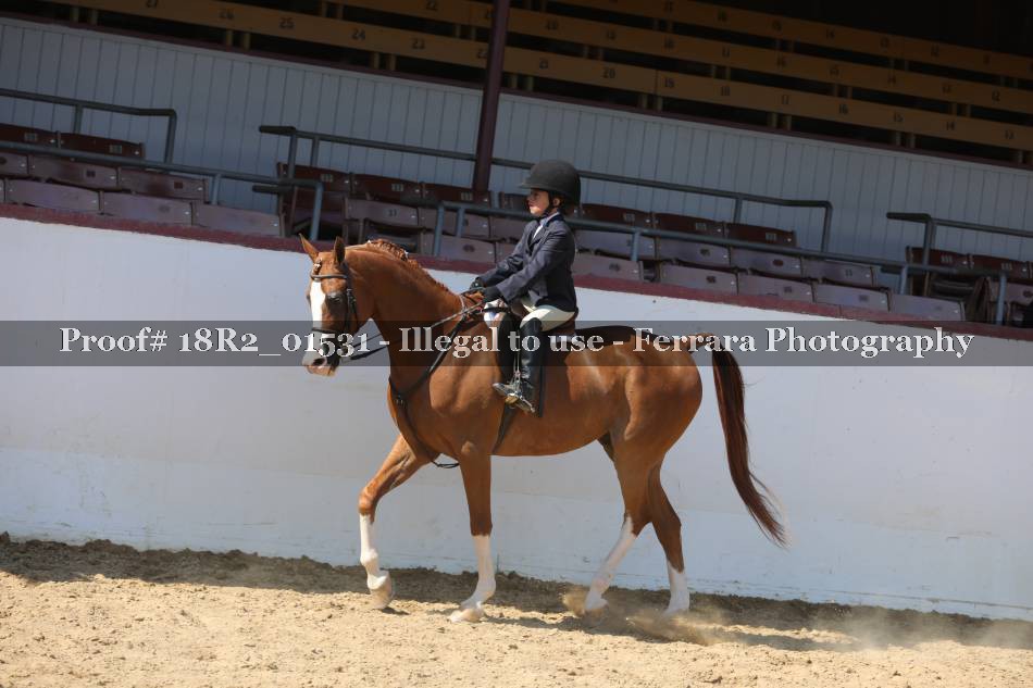 Proof 18R2_01531