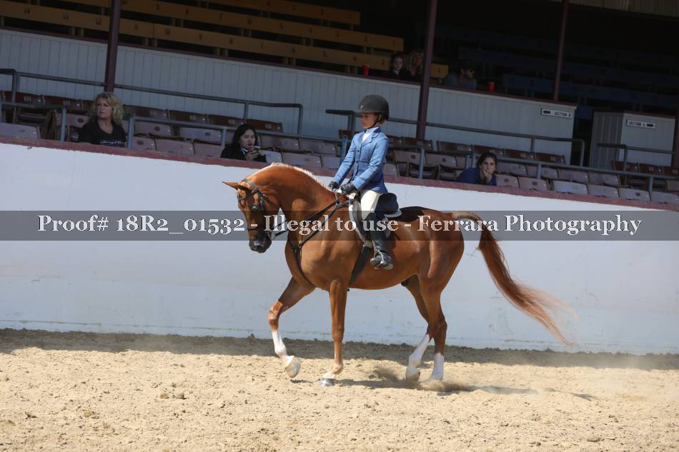Proof 18R2_01532