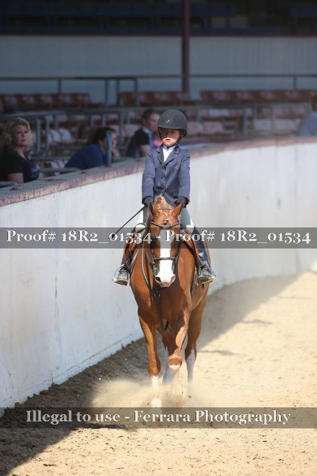 Proof 18R2_01534