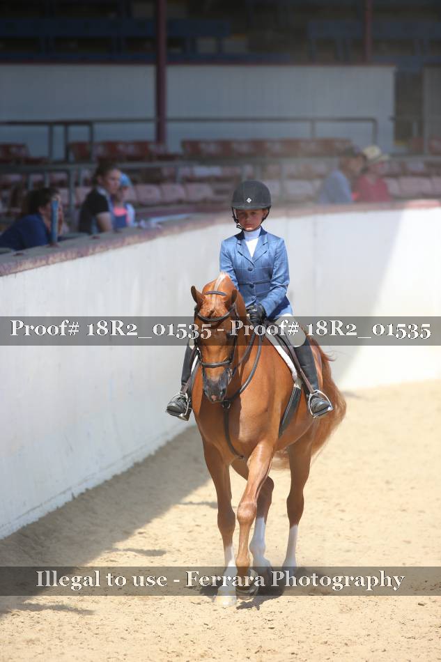 Proof 18R2_01535