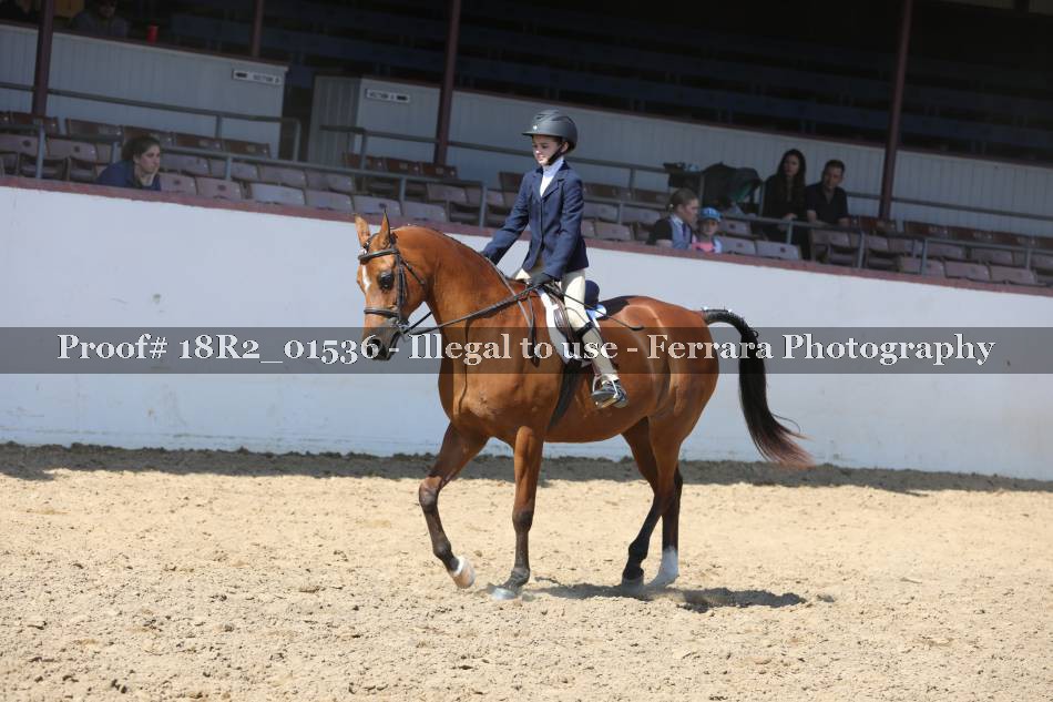 Proof 18R2_01536