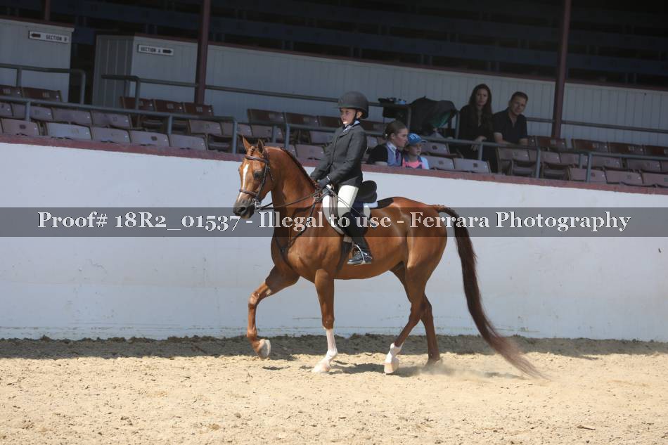 Proof 18R2_01537
