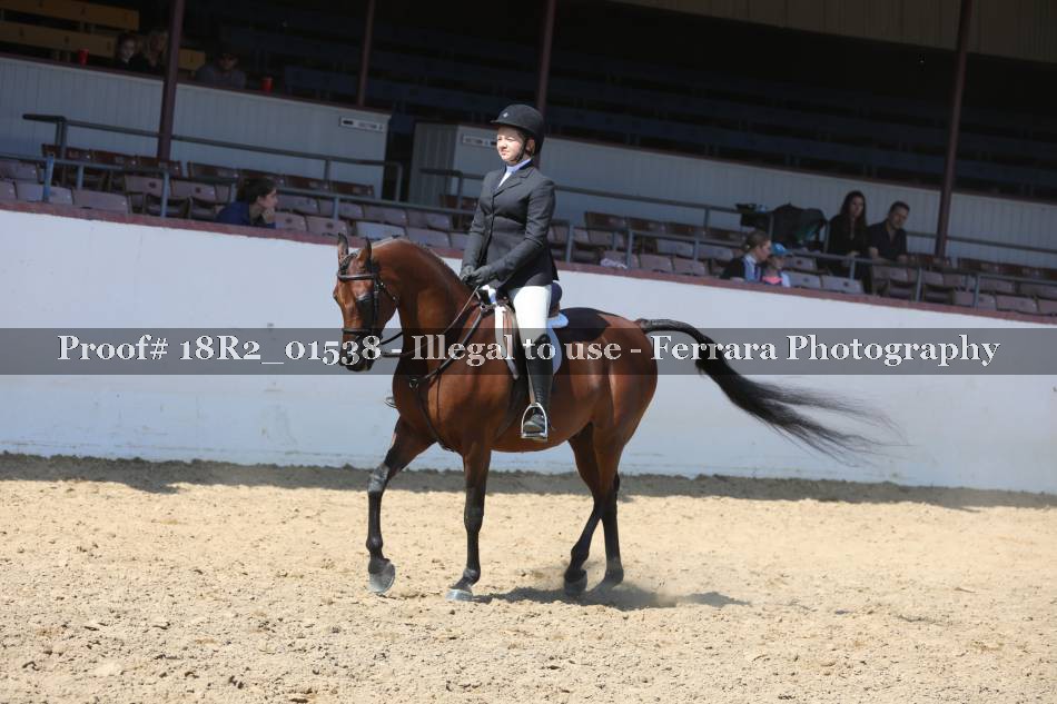 Proof 18R2_01538