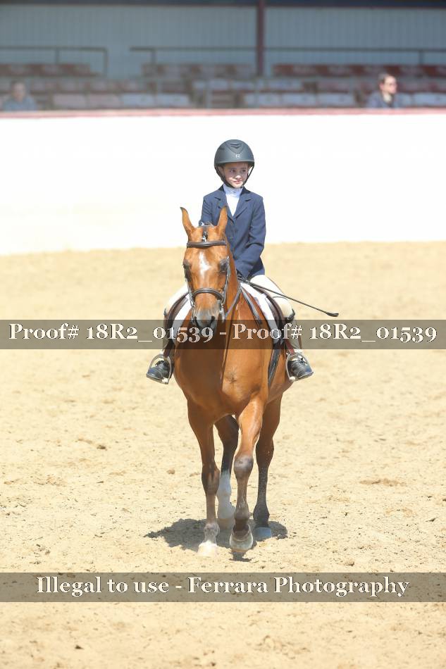Proof 18R2_01539