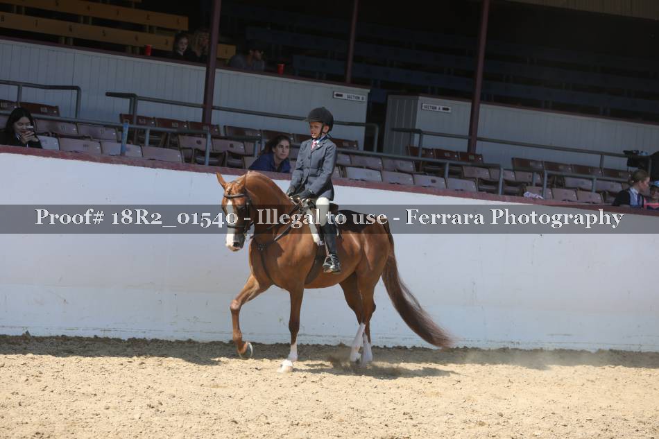 Proof 18R2_01540