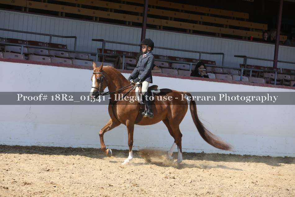 Proof 18R2_01541