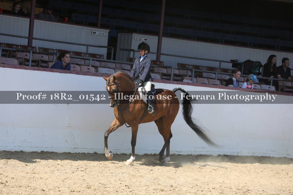 Proof 18R2_01542