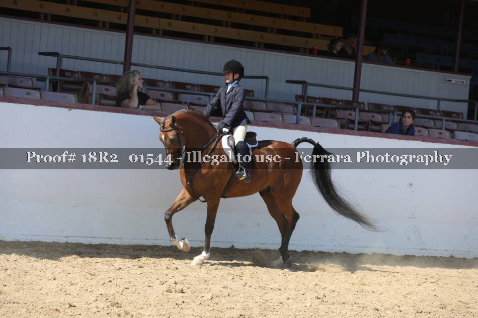 Proof 18R2_01544