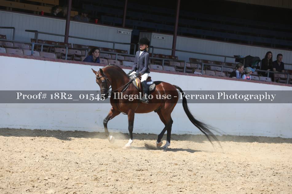 Proof 18R2_01545
