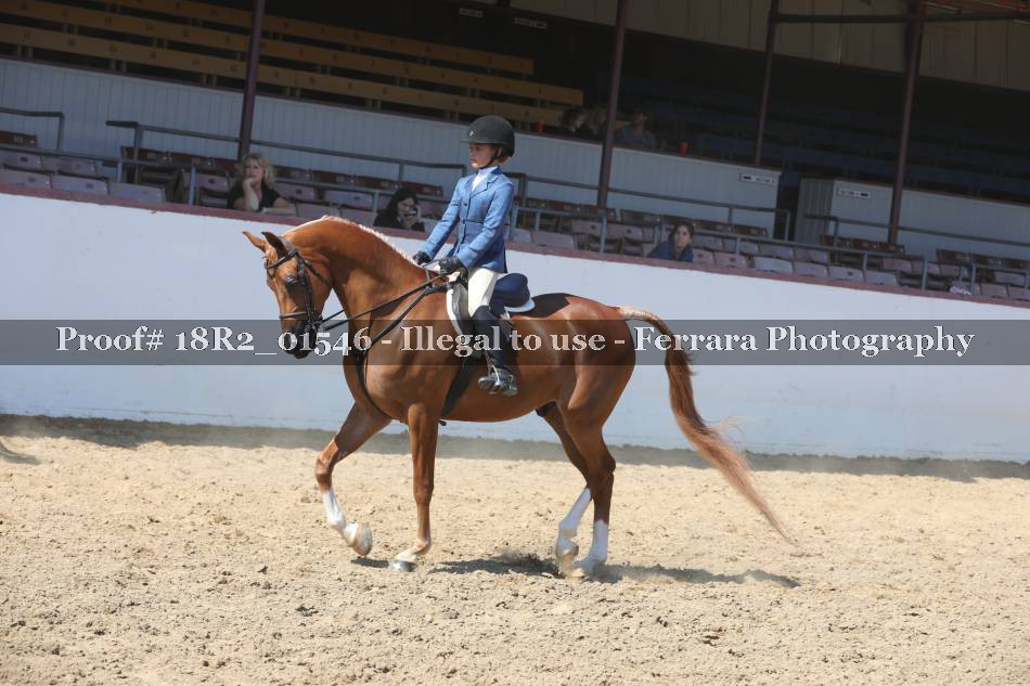 Proof 18R2_01546