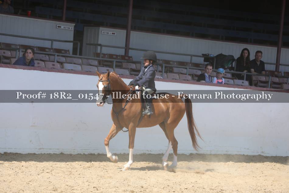 Proof 18R2_01547