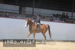 18R2_01547 proof