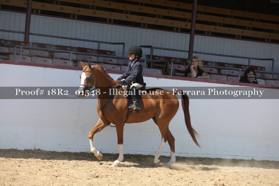 Proof 18R2_01548