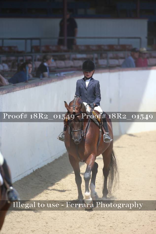Proof 18R2_01549