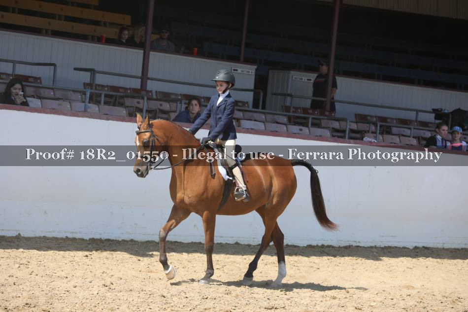Proof 18R2_01550