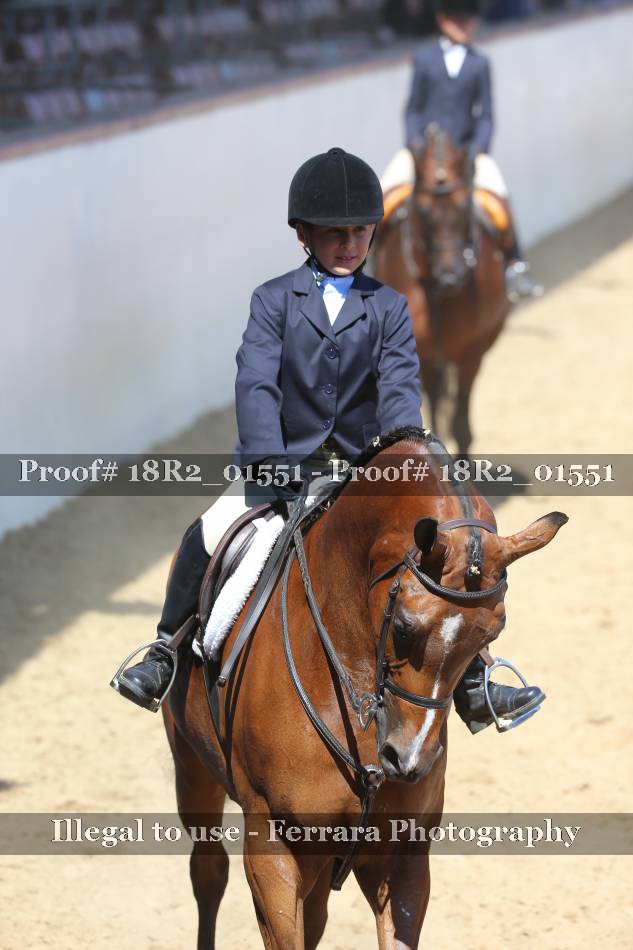 Proof 18R2_01551