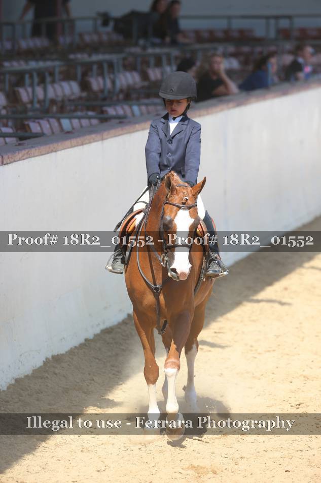 Proof 18R2_01552