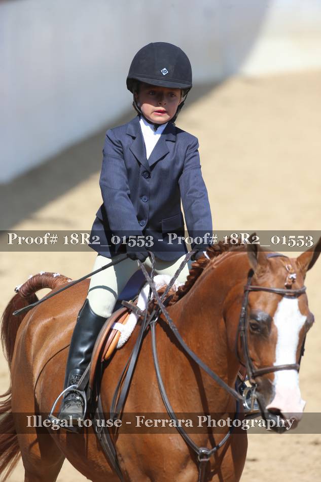 Proof 18R2_01553