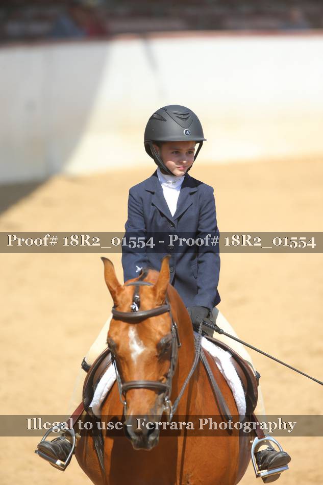 Proof 18R2_01554