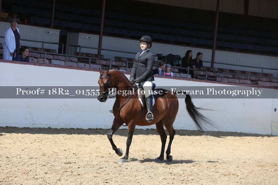 Proof 18R2_01555