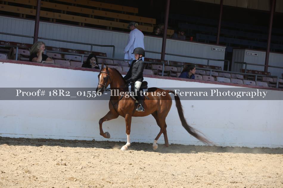 Proof 18R2_01556