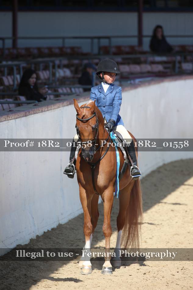 Proof 18R2_01558